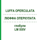 ЛЮФФА ОПЕРКУЛАТА (LUFFA OPERCULATA) LM XXIV глобули 5 г - Гомеопатия DHU