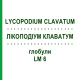 ЛИКОПОДИУМ КЛАВАТУМ (LYCOPODIUM CLAVATUM) LM 6 глобули 10 г - Гомеопатия SPAGYRA