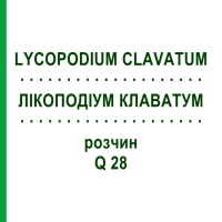 ЛІКОПОДІУМ КЛАВАТУМ (LYCOPODIUM CLAVATUM) Q 28 розчин 15 мл - Гомеопатія GUDJONS