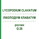 ЛИКОПОДИУМ КЛАВАТУМ (LYCOPODIUM CLAVATUM) Q 28 раствор 15 мл - Гомеопатия GUDJONS