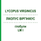 ЛИКОПУС ВИРГИНИКУС (LYCOPUS VIRGINICUS) LM I глобули 5 г - Гомеопатия DHU