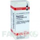 МАГНЕЗИУМ КАРБОНИКУМ (MAGNESIUM CARBONICUM) C 12 глобули 10 г - Гомеопатия DHU