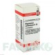 МАГНЕЗИУМ КАРБОНИКУМ (MAGNESIUM CARBONICUM) D 10 глобули 10 г - Гомеопатия DHU