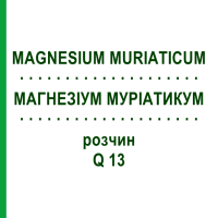 МАГНЕЗІУМ МУРІАТИКУМ (MAGNESIUM MURIATICUM) Q 13 розчин 15 мл - Гомеопатія GUDJONS