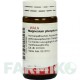 МАГНЕЗИУМ ФОСФОРИКУМ (MAGNESIUM PHOSPHORICUM) D 6 глобули 20 г - Гомеопатия WALA HEILMITTEL