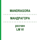 МАНДРАГОРА (MANDRAGORA) LM VI раствор 10 мл - Гомеопатия DHU