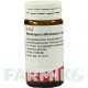 МАНДРАГОРА ОФФИЦИНАРИУМ (MANDRAGORA OFFICINARIUM) D 6 глобули 20 г - Гомеопатия WALA HEILMITTEL