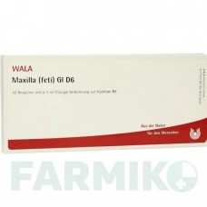 МАКСИЛЛА (MAXILLA) D 6 ампулы 10x1 мл - Гомеопатия WALA HEILMITTEL