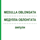 МЕДУЛЛА ОБЛОНГАТА (MEDULLA OBLONGATA) ампули 10x1 мл - Гомеопатія WALA HEILMITTEL