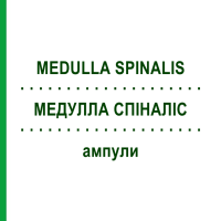 МЕДУЛЛА СПІНАЛІС (MEDULLA SPINALIS) ампули 100 шт - Гомеопатія BIOLOGISCHE HEILMITTEL HEEL