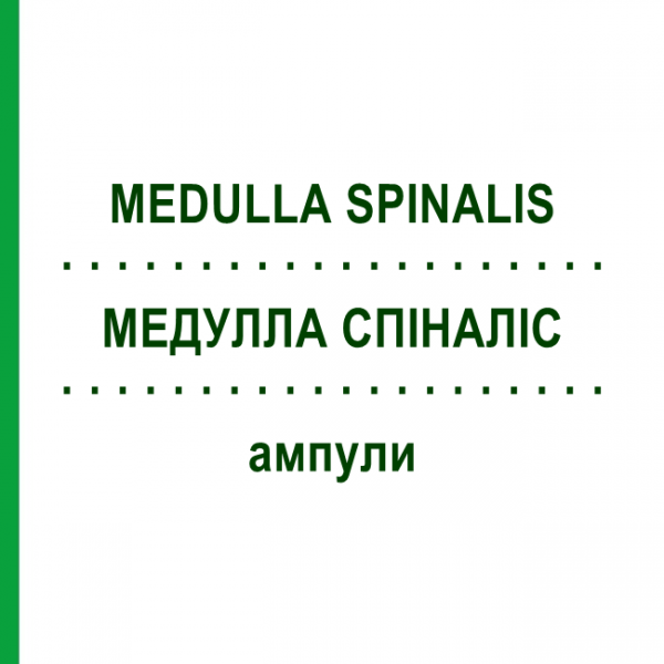 МЕДУЛЛА СПІНАЛІС (MEDULLA SPINALIS) ампули 100 шт - Гомеопатія BIOLOGISCHE HEILMITTEL HEEL