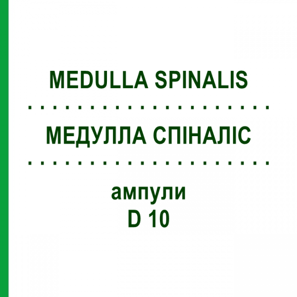 МЕДУЛЛА СПИНАЛИС (MEDULLA SPINALIS) D 10 ампулы 10x1 мл - Гомеопатия WALA HEILMITTEL
