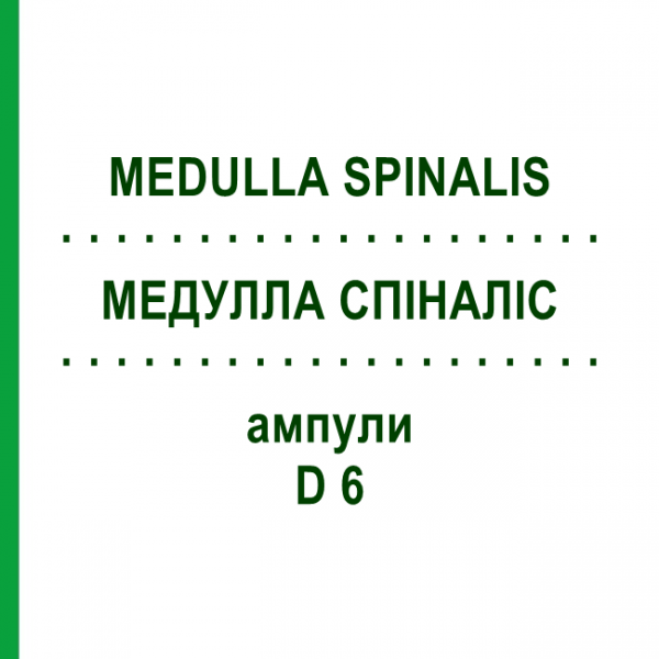 МЕДУЛЛА СПІНАЛІС (MEDULLA SPINALIS) D 6 ампули 50x1 мл - Гомеопатія WALA HEILMITTEL