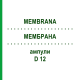 МЕМБРАНА (MEMBRANA) D 12 ампулы 10x1 мл - Гомеопатия WALA HEILMITTEL
