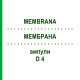 МЕМБРАНА (MEMBRANA) D 4 ампулы 10x1 мл - Гомеопатия WALA HEILMITTEL