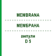 МЕМБРАНА (MEMBRANA) D 5 ампулы 10x1 мл - Гомеопатия WALA HEILMITTEL