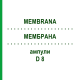 МЕМБРАНА (MEMBRANA) D 8 ампулы 10x1 мл - Гомеопатия WALA HEILMITTEL
