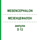 МЕЗЕНЦЕФАЛОН (MESENCEPHALON) D 12 ампулы 10x1 мл - Гомеопатия WALA HEILMITTEL