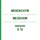 МЕЗЕНХИМ (MESENCHYM) D 10 ампулы 10x1 мл - Гомеопатия WALA HEILMITTEL