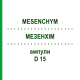 МЕЗЕНХИМ (MESENCHYM) D 15 ампулы 10x1 мл - Гомеопатия WALA HEILMITTEL