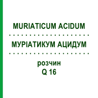МУРІАТИКУМ АЦИДУМ (MURIATICUM ACIDUM) Q 16 розчин 15 мл - Гомеопатія GUDJONS