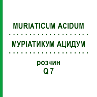 МУРИАТИКУМ АЦИДУМ (MURIATICUM ACIDUM) Q 7 раствор 15 мл - Гомеопатия GUDJONS
