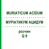 МУРИАТИКУМ АЦИДУМ (MURIATICUM ACIDUM) Q 9 раствор 15 мл - Гомеопатия GUDJONS