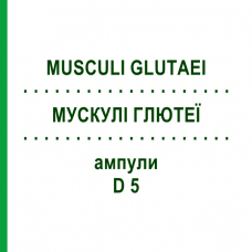 МУСКУЛИ ГЛЮТЕИ (MUSCULI GLUTAEI) D 5 ампулы 10x1 мл - Гомеопатия WALA HEILMITTEL