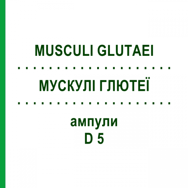 МУСКУЛИ ГЛЮТЕИ (MUSCULI GLUTAEI) D 5 ампулы 10x1 мл - Гомеопатия WALA HEILMITTEL