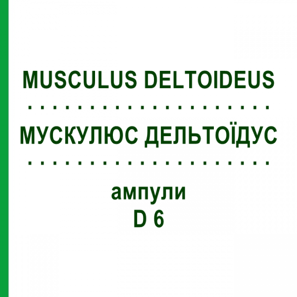 МУСКУЛЮС ДЕЛЬТОИДУС (MUSCULUS DELTOIDEUS) D 6 ампулы 10x1 мл - Гомеопатия WALA HEILMITTEL