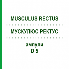 МУСКУЛЮС РЕКТУС (MUSCULUS RECTUS) D 5 ампулы 10x1 мл - Гомеопатия WALA HEILMITTEL