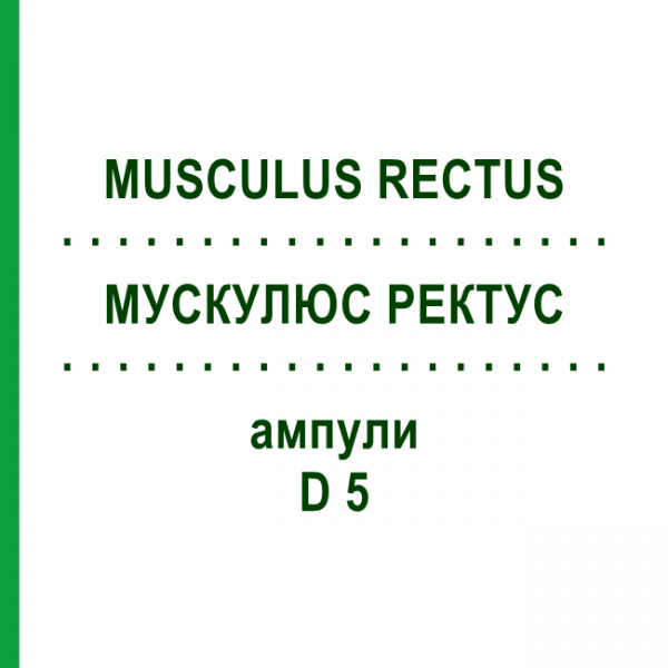МУСКУЛЮС РЕКТУС (MUSCULUS RECTUS) D 5 ампулы 10x1 мл - Гомеопатия WALA HEILMITTEL