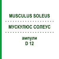 МУСКУЛЮС СОЛЕУС (MUSCULUS SOLEUS) D 12 ампулы 10x1 мл - Гомеопатия WALA HEILMITTEL