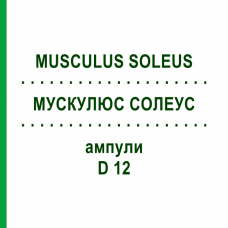 МУСКУЛЮС СОЛЕУС (MUSCULUS SOLEUS) D 12 ампулы 10x1 мл - Гомеопатия WALA HEILMITTEL