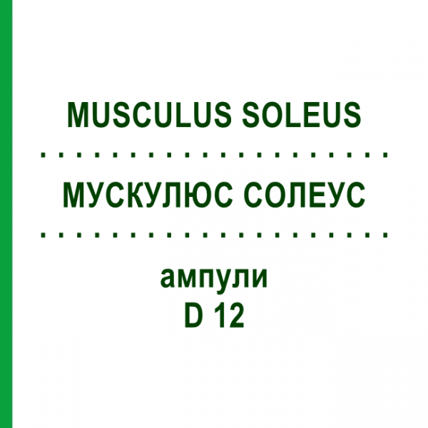 МУСКУЛЮС СОЛЕУС (MUSCULUS SOLEUS) D 12 ампулы 10x1 мл - Гомеопатия WALA HEILMITTEL