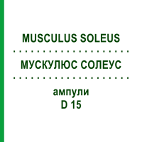 МУСКУЛЮС СОЛЕУС (MUSCULUS SOLEUS) D 15 ампулы 10x1 мл - Гомеопатия WALA HEILMITTEL