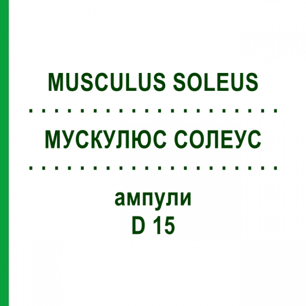 МУСКУЛЮС СОЛЕУС (MUSCULUS SOLEUS) D 15 ампулы 10x1 мл - Гомеопатия WALA HEILMITTEL