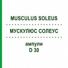 МУСКУЛЮС СОЛЕУС (MUSCULUS SOLEUS) D 30 ампулы 10x1 мл - Гомеопатия WALA HEILMITTEL
