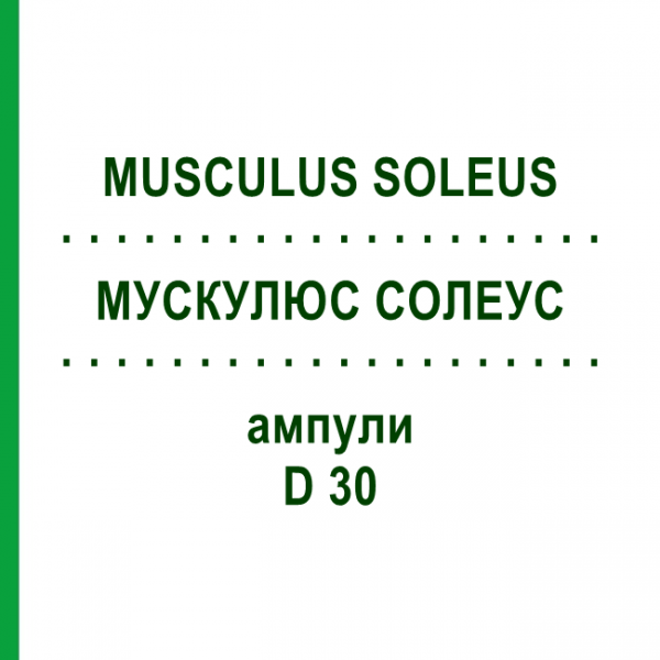 МУСКУЛЮС СОЛЕУС (MUSCULUS SOLEUS) D 30 ампулы 10x1 мл - Гомеопатия WALA HEILMITTEL