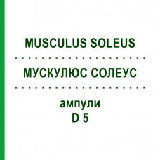 МУСКУЛЮС СОЛЕУС (MUSCULUS SOLEUS) D 5 ампулы 10x1 мл - Гомеопатия WALA HEILMITTEL