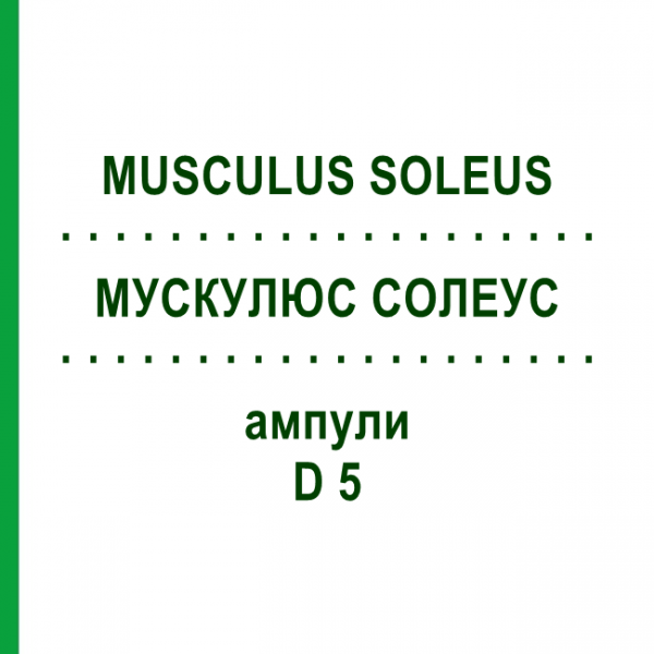 МУСКУЛЮС СОЛЕУС (MUSCULUS SOLEUS) D 5 ампулы 10x1 мл - Гомеопатия WALA HEILMITTEL