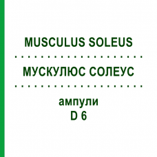 МУСКУЛЮС СОЛЕУС (MUSCULUS SOLEUS) D 6 ампулы 10x1 мл - Гомеопатия WALA HEILMITTEL