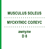 МУСКУЛЮС СОЛЕУС (MUSCULUS SOLEUS) D 8 ампулы 10x1 мл - Гомеопатия WALA HEILMITTEL