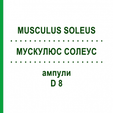 МУСКУЛЮС СОЛЕУС (MUSCULUS SOLEUS) D 8 ампулы 10x1 мл - Гомеопатия WALA HEILMITTEL