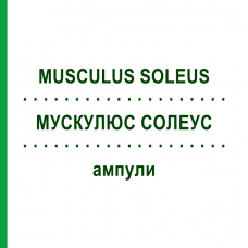 МУСКУЛЮС СОЛЕУС (MUSCULUS SOLEUS) ампулы 10x1 мл - Гомеопатия WALA HEILMITTEL