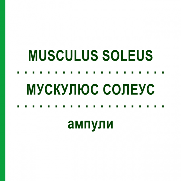 МУСКУЛЮС СОЛЕУС (MUSCULUS SOLEUS) ампулы 10x1 мл - Гомеопатия WALA HEILMITTEL