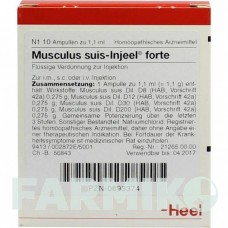 МУСКУЛЮС СУИС (MUSCULUS SUIS) ампулы 10 шт - Гомеопатия BIOLOGISCHE HEILMITTEL HEEL