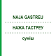 НАЖА ГАСТРЕУ (NAJA GASTREU) суміш 22 мл - Гомеопатія DR.RECKEWEG