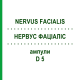 НЕРВУС ФАЦИАЛИС (NERVUS FACIALIS) D 5 ампулы 10x1 мл - Гомеопатия WALA HEILMITTEL
