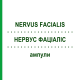 НЕРВУС ФАЦИАЛИС (NERVUS FACIALIS) ампулы 10x1 мл - Гомеопатия WALA HEILMITTEL